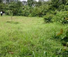 PRIME PLOT FOR SALE – SHITAHO, KAKAMEGA - 2