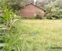 PRIME PLOT FOR SALE – SHITAHO, KAKAMEGA - 3