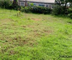 PRIME PLOT FOR SALE – SHITAHO, KAKAMEGA - 4