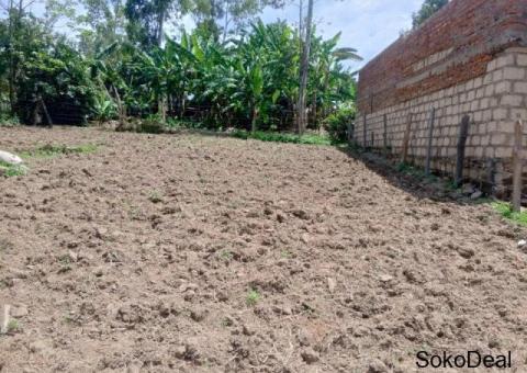 Prime Plot for Sale – Mwiyala, Kakamega (Near MMUST) - 1/3