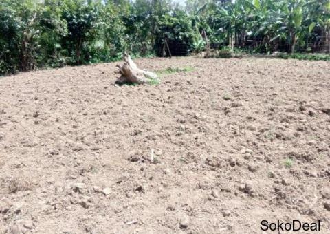 Prime Plot for Sale – Mwiyala, Kakamega (Near MMUST) - 2/3