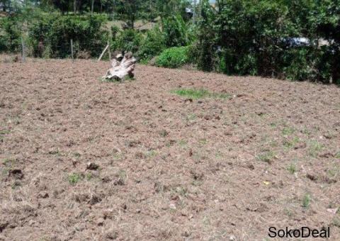 Prime Plot for Sale – Mwiyala, Kakamega (Near MMUST) - 3/3