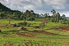 How to Verify Land and Property Before Buying in Kenya